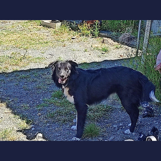 Photo of Finn Quinell