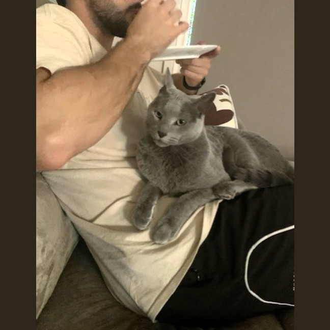 Photo of Jasper