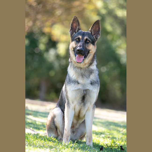 Photo of Storm