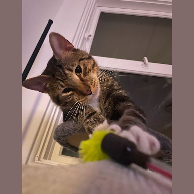 Photo of Larry