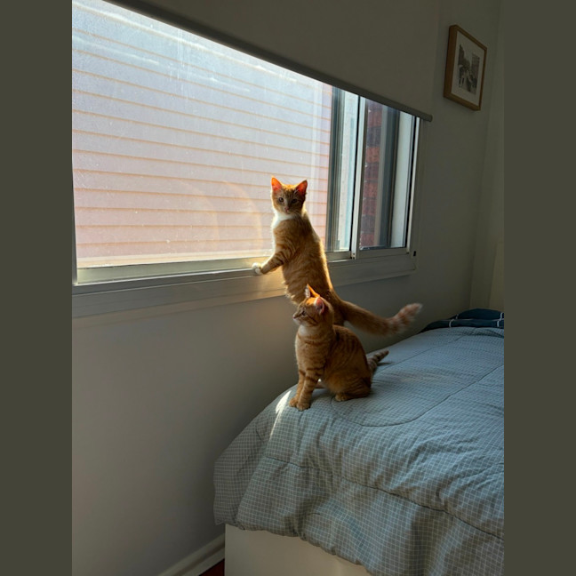Photo of Flora And Sunny