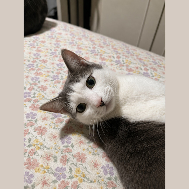Photo of Annie