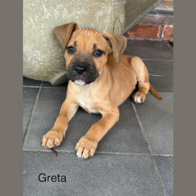 Photo of Greta