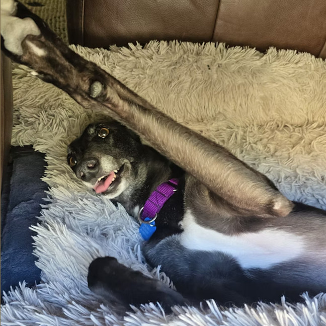 Photo of Maggie