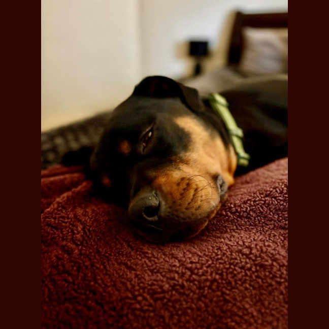 Photo of Lucky Newhaven