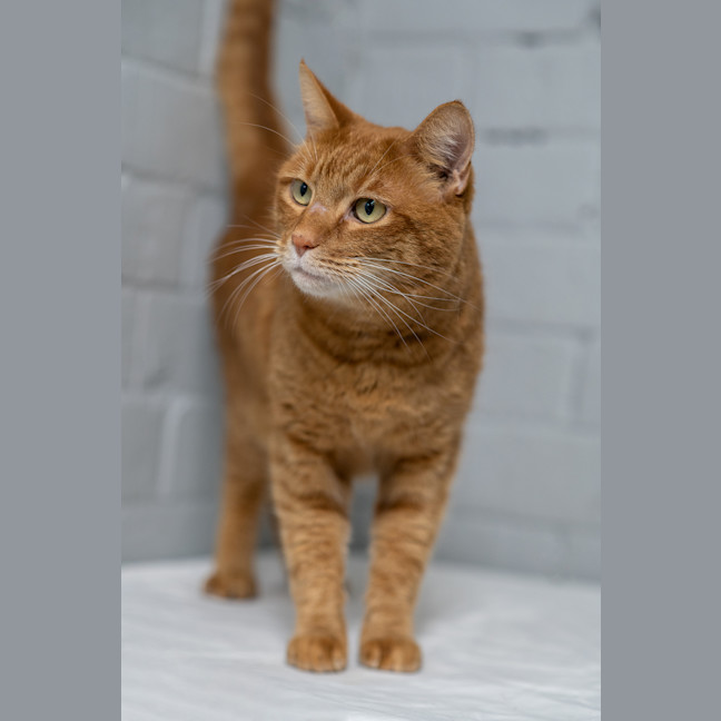 Photo of Sammy