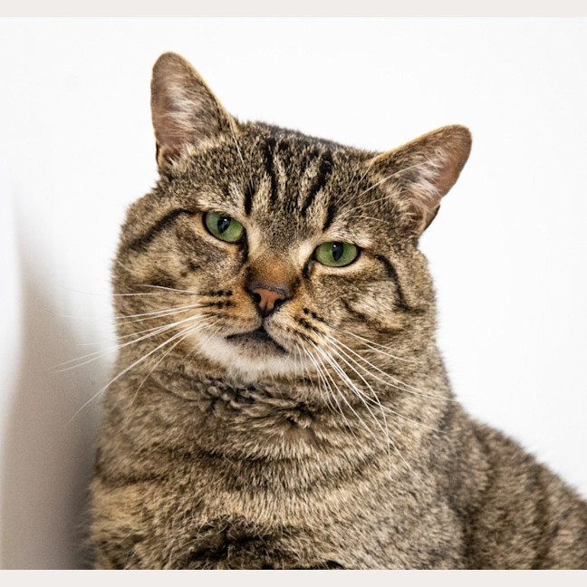 Photo of Mr Max