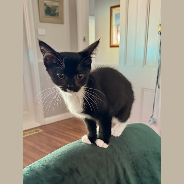 Photo of Baby & Belle