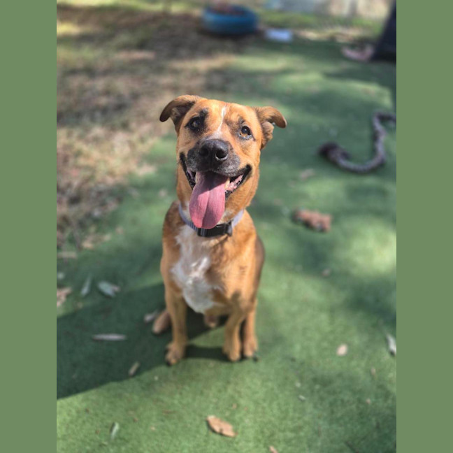 Photo of Murphy