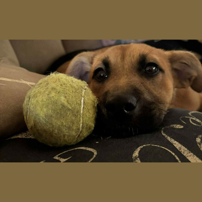 Photo of Gabby