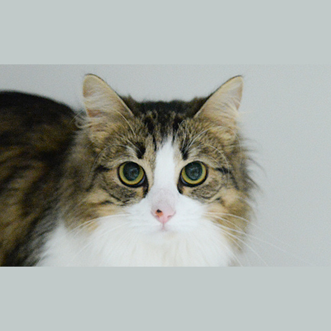 Photo of Millicent 