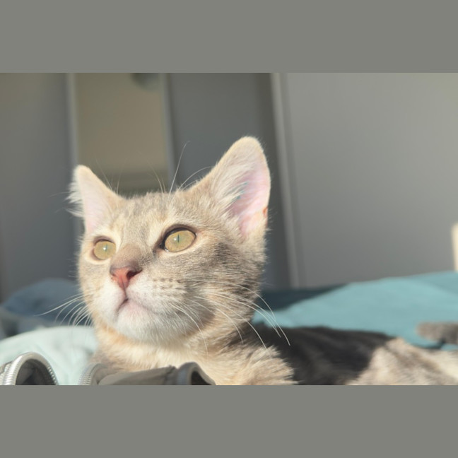 Photo of Perla/Winnie