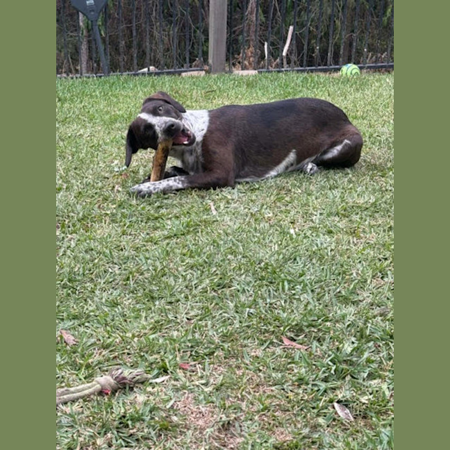 Photo of Hershey