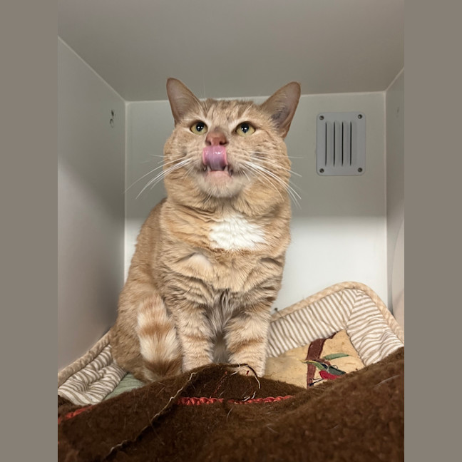 Photo of Bam Bam