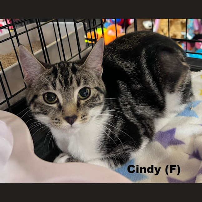 Photo of Cindy