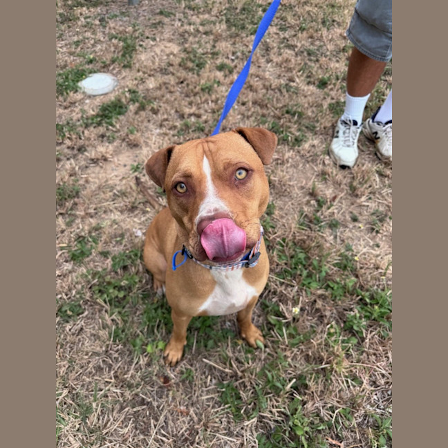 Photo of Trooper 