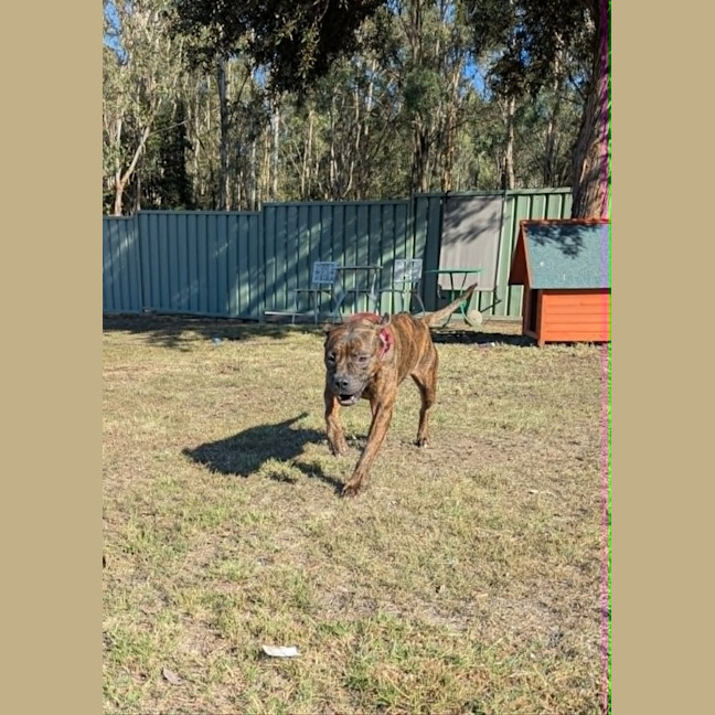 Photo of Winnie