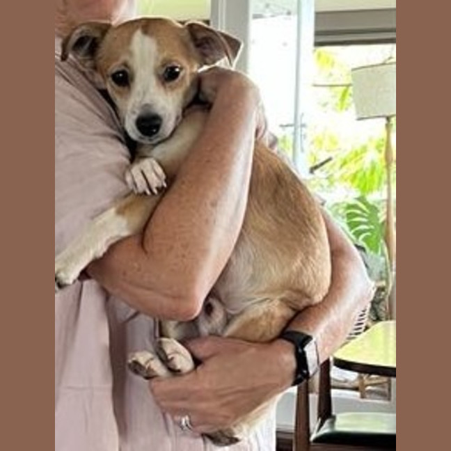 Photo of Buddy
