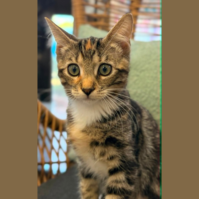 Photo of Tabitha