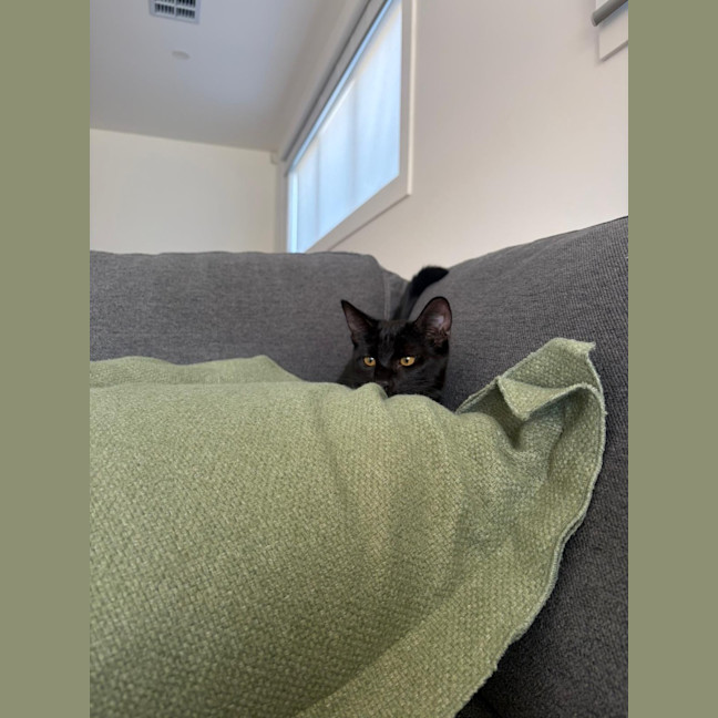 Photo of Cash