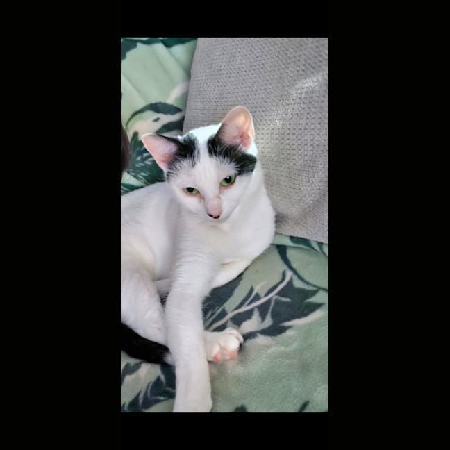 Photo of Cita