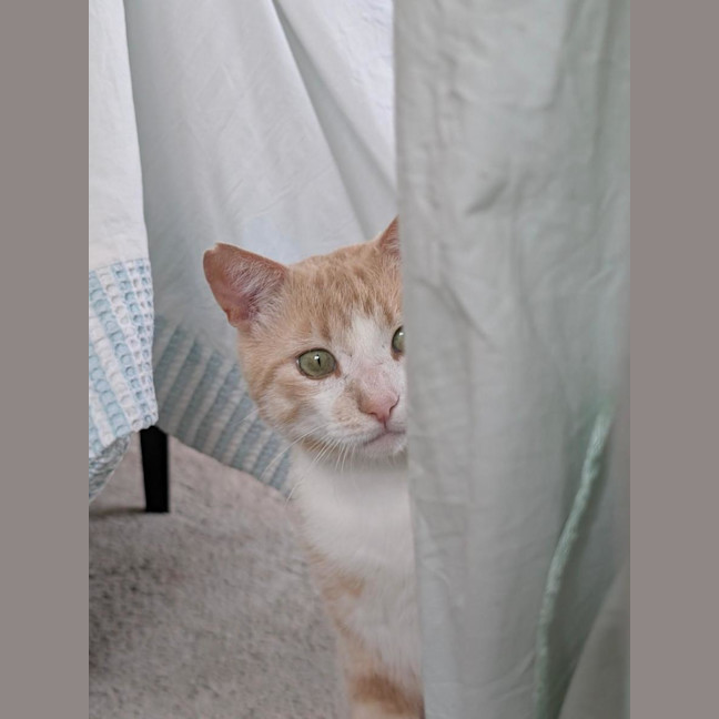 Photo of Mr Bubbles