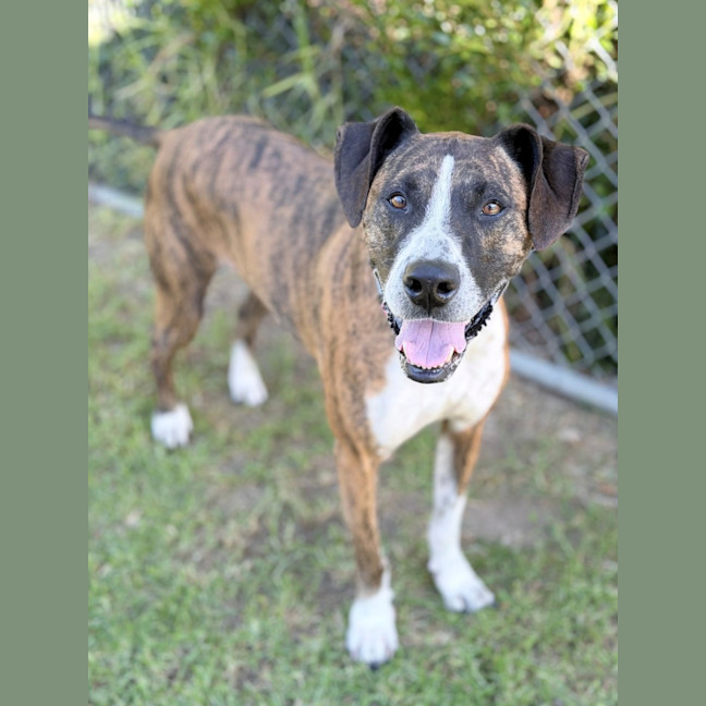 Photo of Xena
