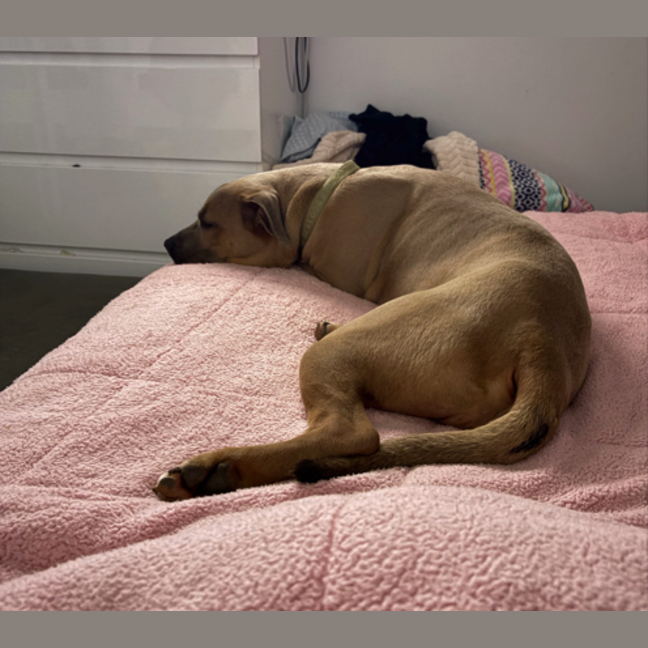 Photo of Zeus