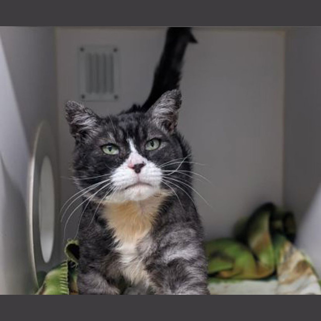 Photo of Salem
