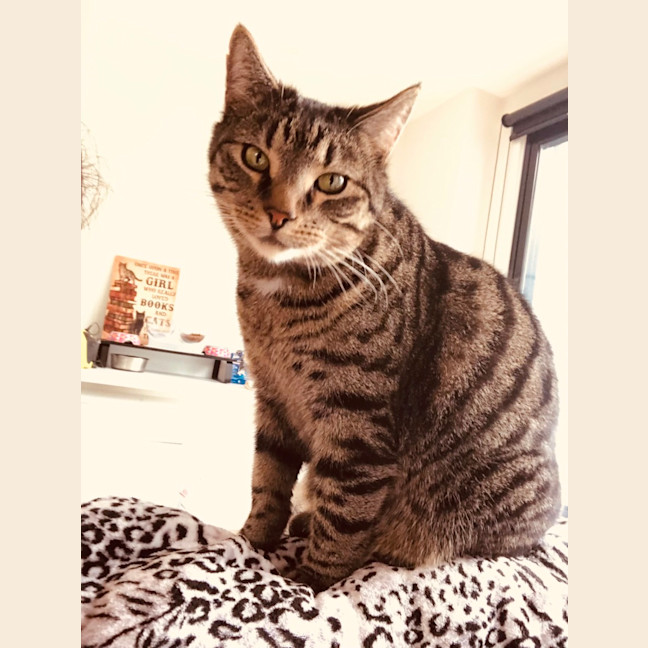 Photo of Jude