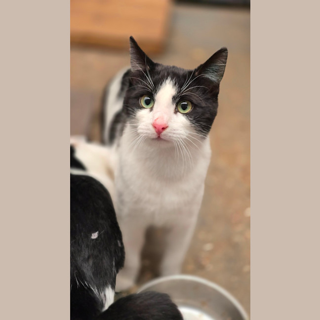 Photo of Jacko