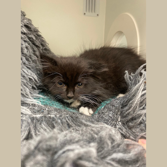 Photo of Baby