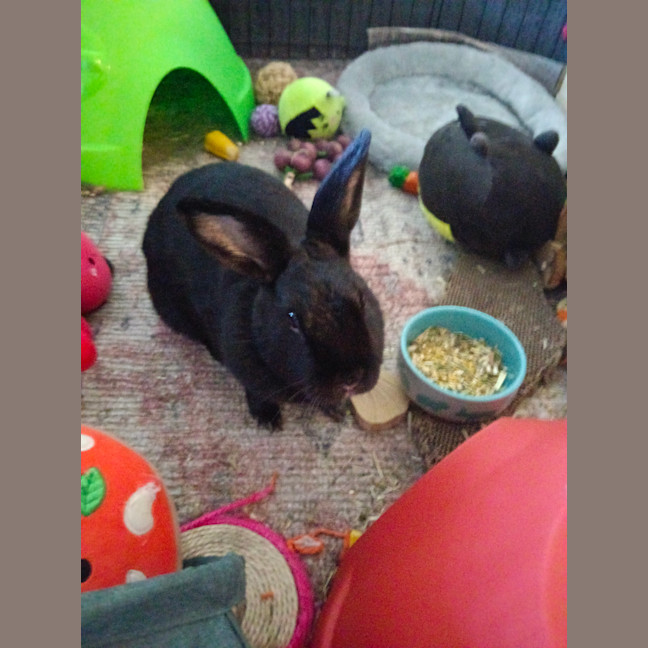 Photo of Dutchess