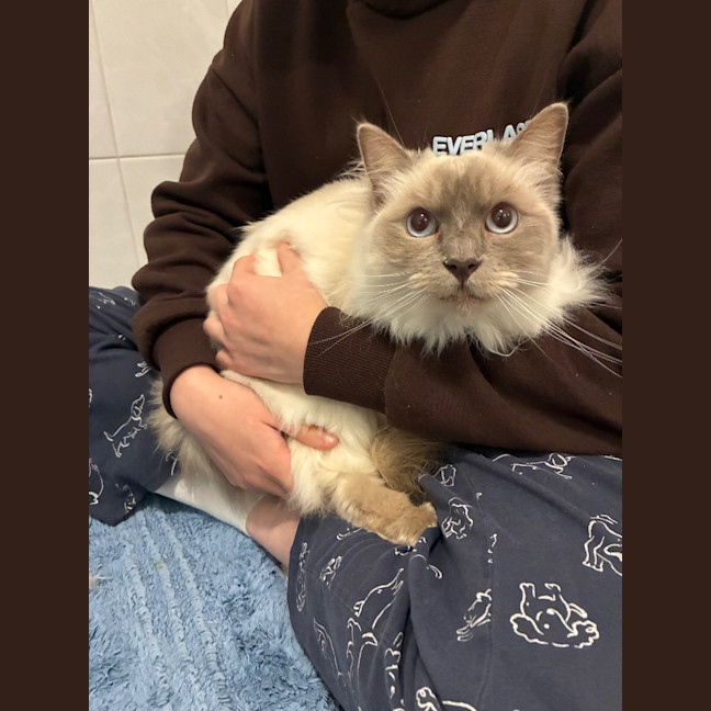 Photo of Casper