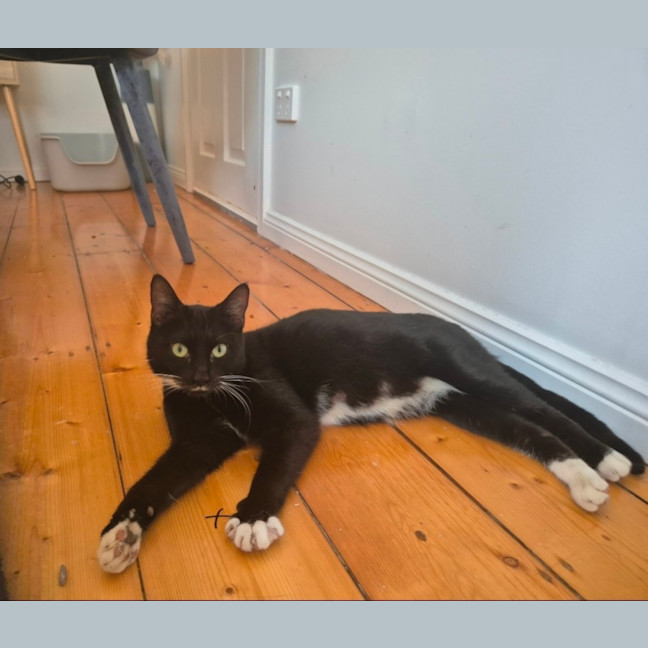 Photo of Sundae
