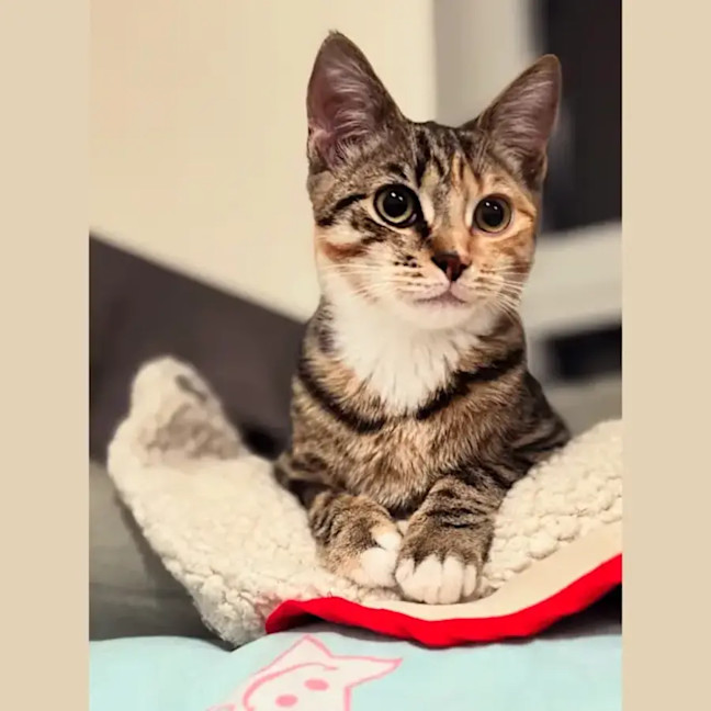 Photo of Milly And Charlie 