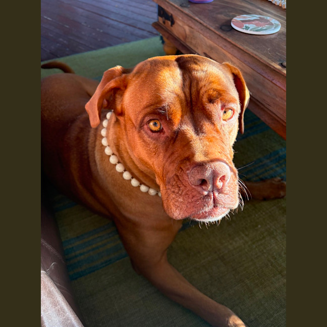 Photo of Tia 