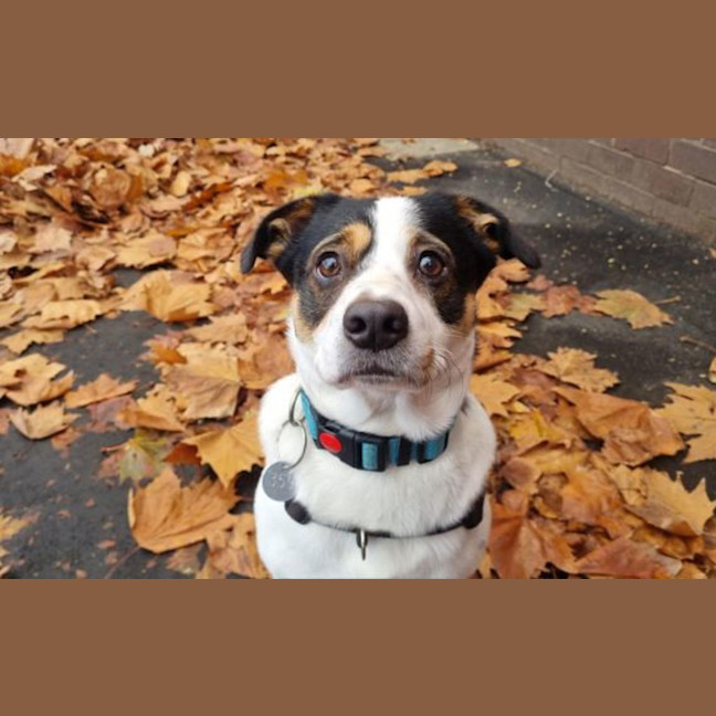 Photo of Rodney