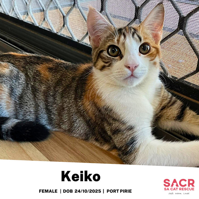 Photo of Keiko