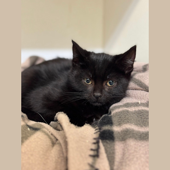 Photo of Barnaby