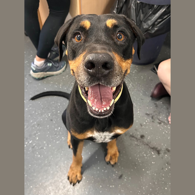 Photo of Mr. Snuffleupagus