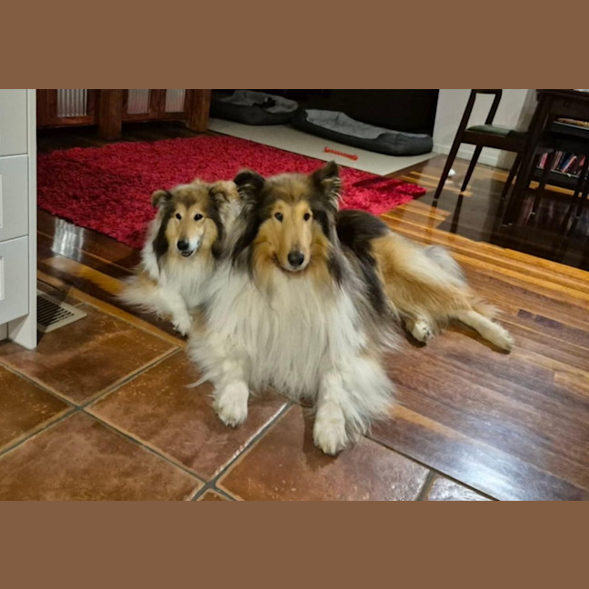 Photo of Buddy & Lilly