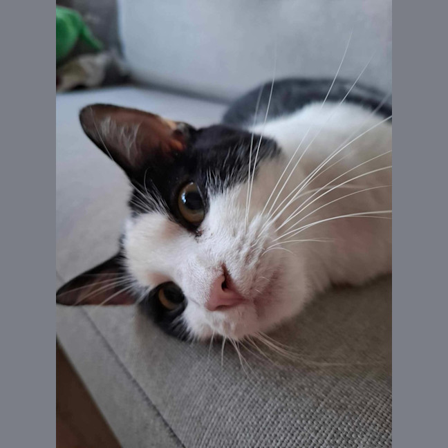 Photo of Maisie & Moo 🐄