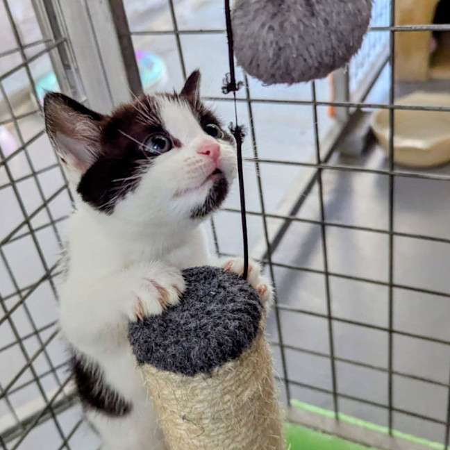 Photo of Jersey Girl