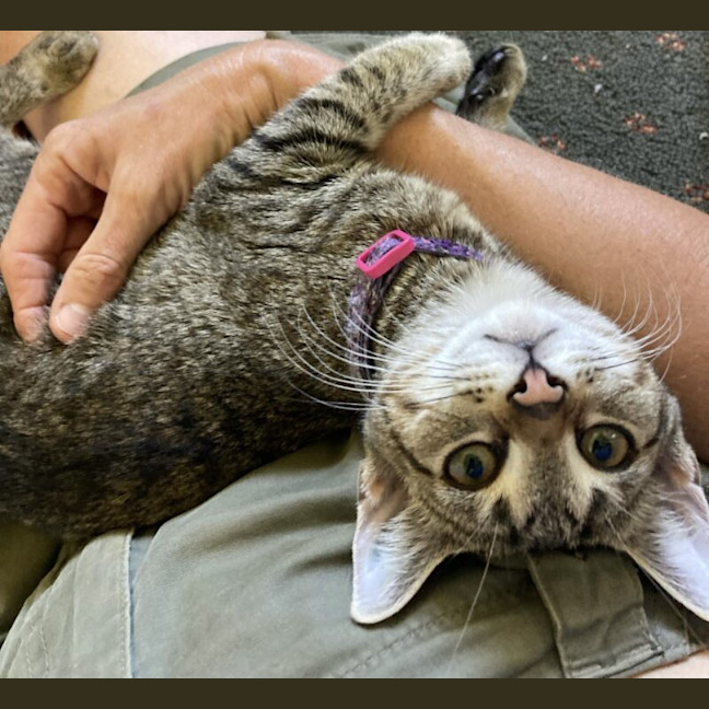 Photo of Tabitha