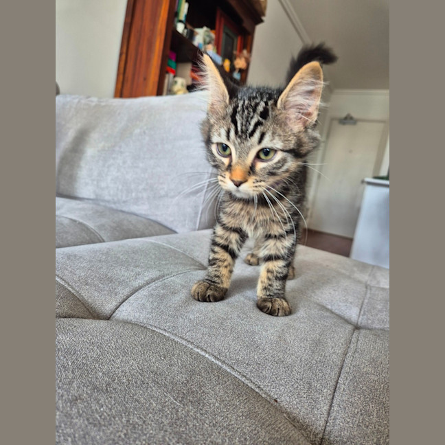 Photo of Bucket