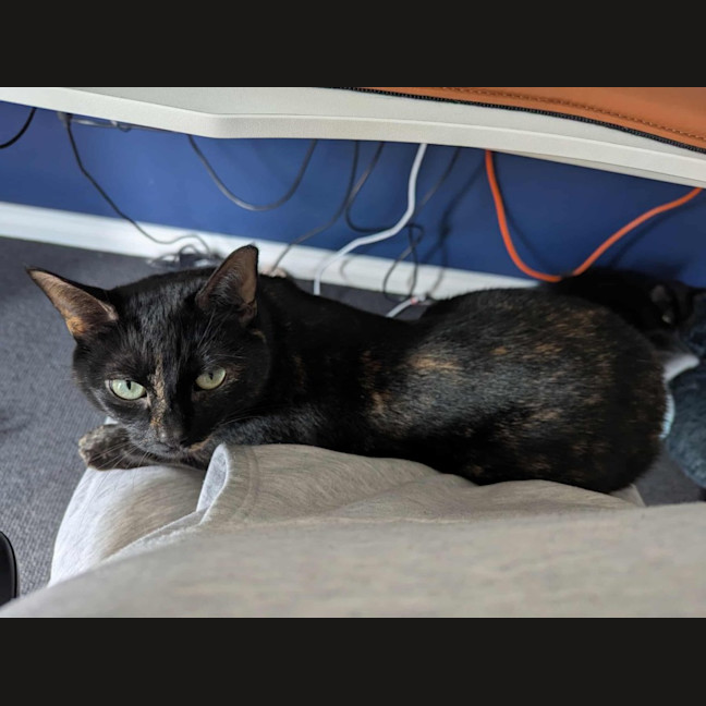 Photo of Amy & Declan