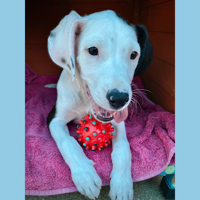 Photo of Storm