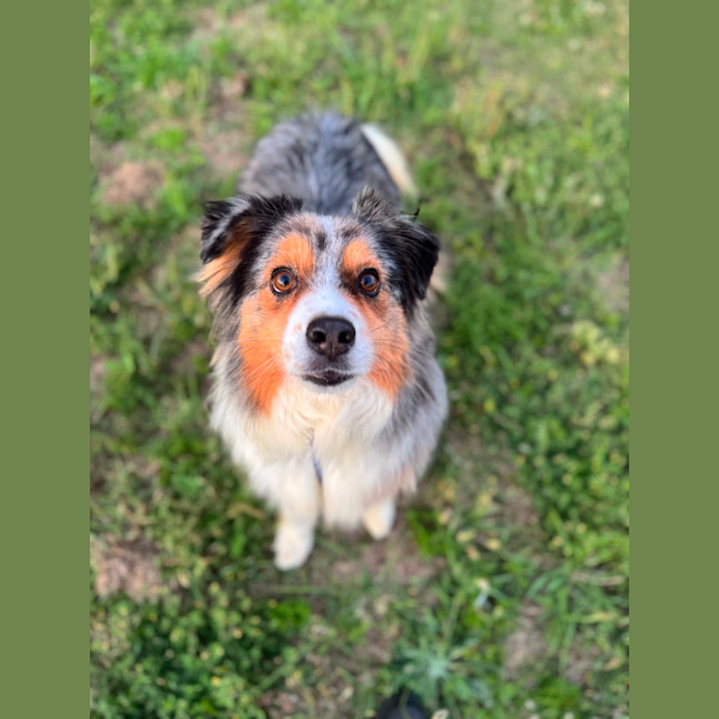 Photo of Bonus