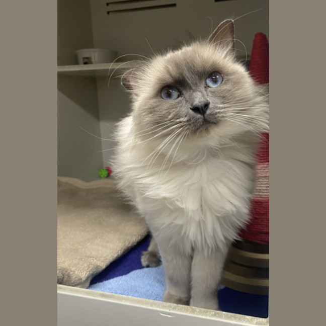 Photo of Floyd